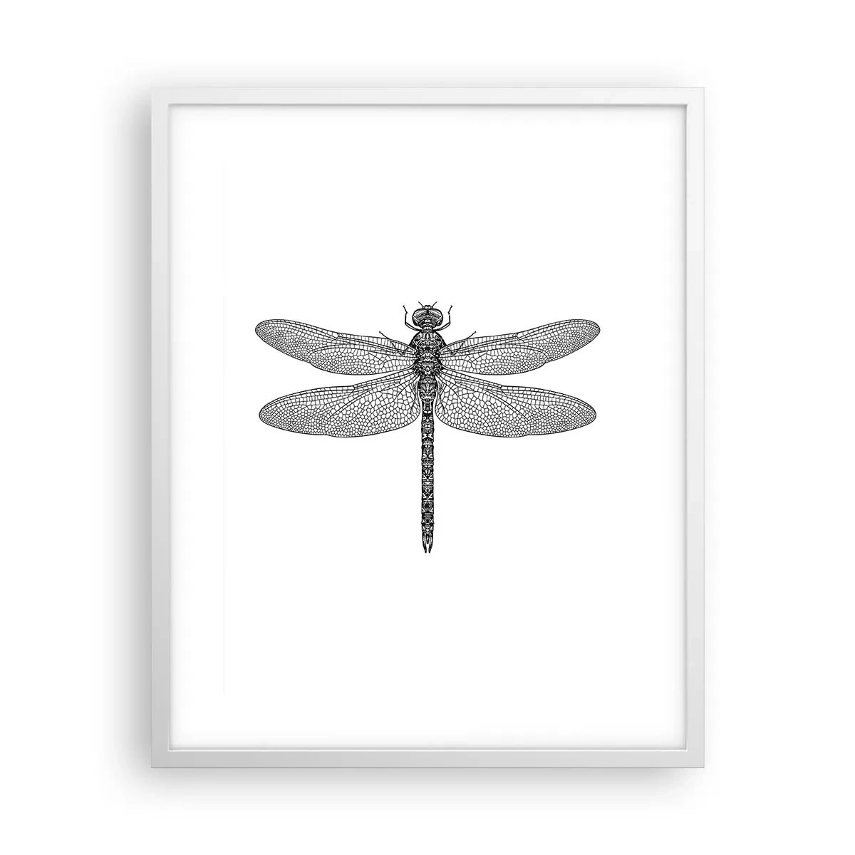 Poster in een witte lijst - Precisie van de natuur - 40x50 cm