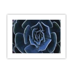 Poster - Woestijn bloem - 40x30 cm