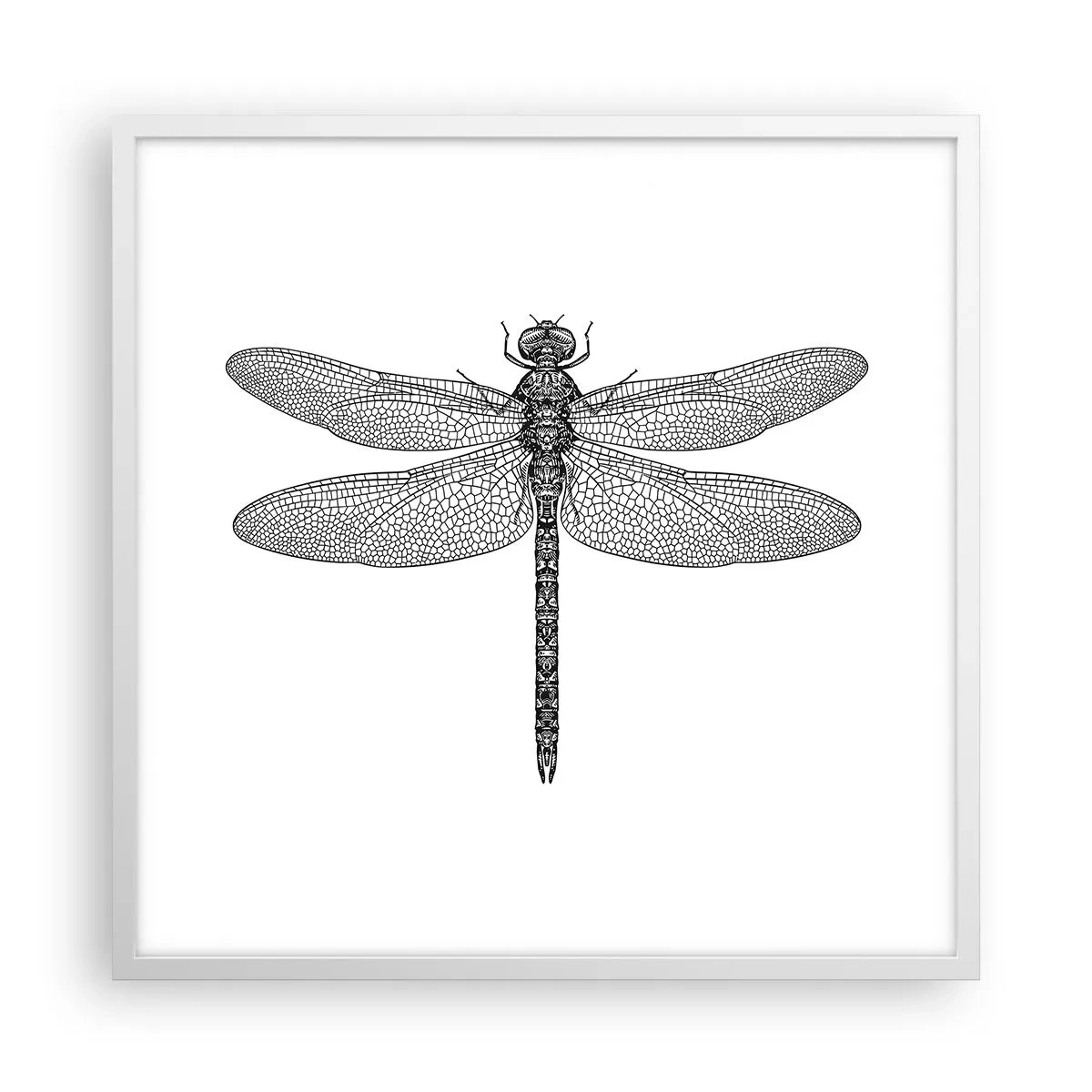 Poster in een witte lijst - Precisie van de natuur - 60x60 cm