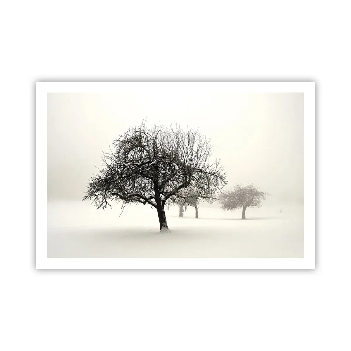 Poster - Winterslaap - 91x61 cm