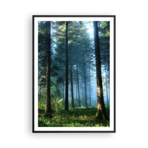 Poster in een zwarte lijst - Stralend in de ochtend - 70x100 cm