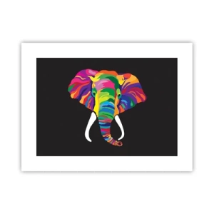 Poster - De olifant die ervan hield om in de regenboog te baden - 40x30 cm