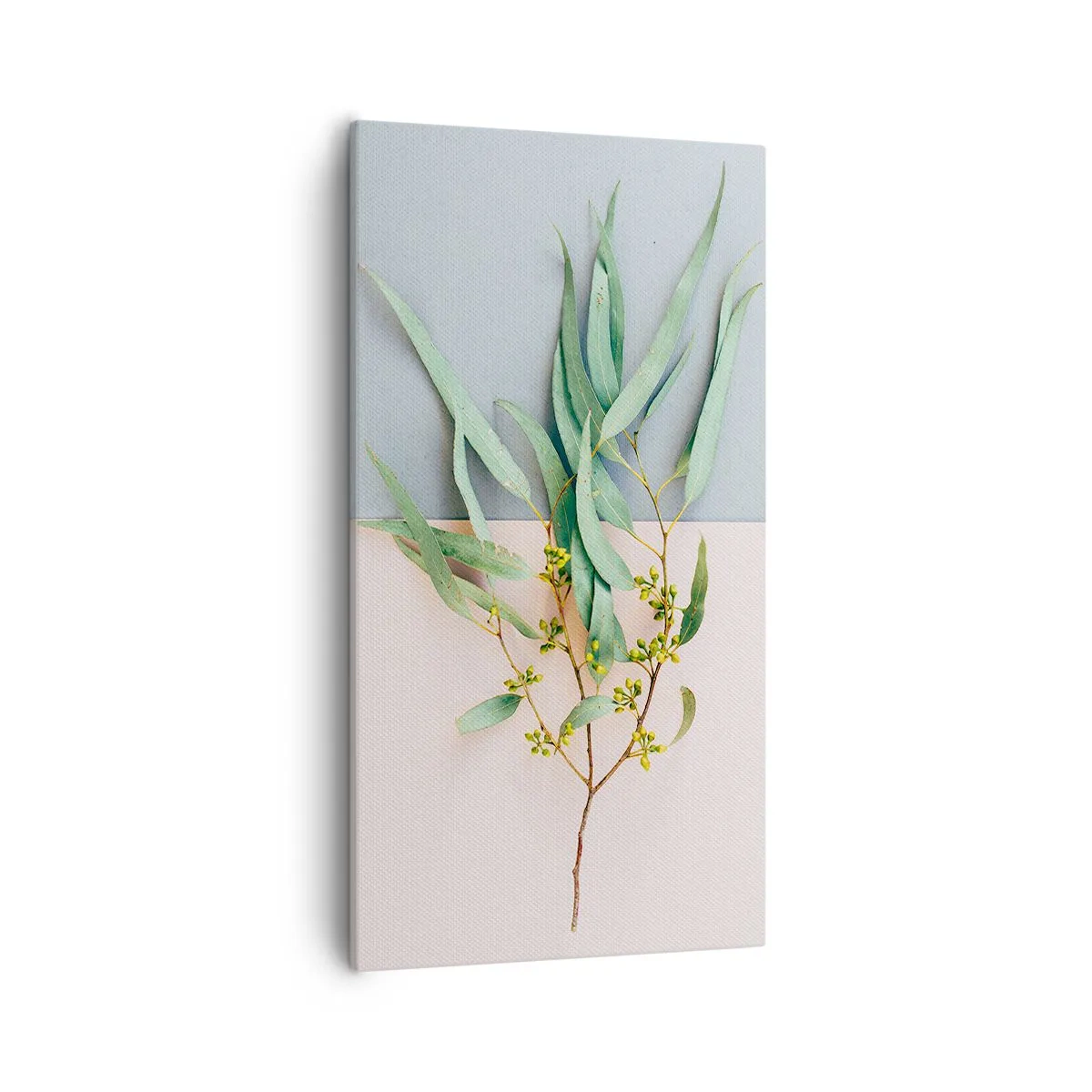 Schilderen op canvas - Subtiliteit in pastelkleuren - 55x100 cm