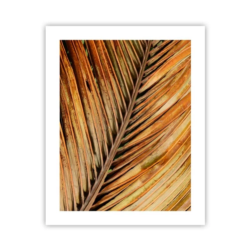 Poster - Kokos goud - 40x50 cm
