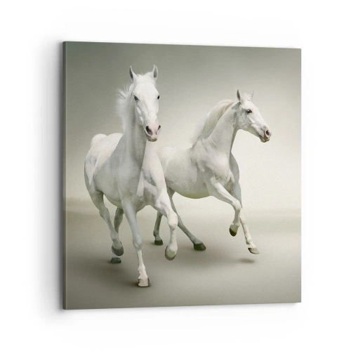 Schilderen op canvas - White power! - 70x70 cm
