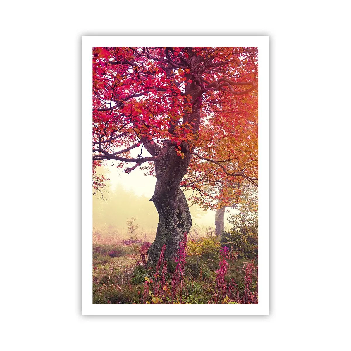 Poster - Bloeiende razernij - 61x91 cm