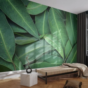 Fotobehang Standard Eco - Sappig en fris - Bladeren, Eucalyptus, Natuur - 400x280 cm