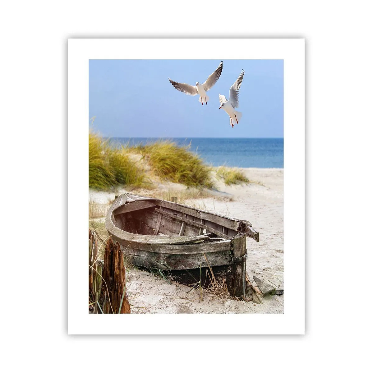 Poster - Badend in de wind - 40x50 cm