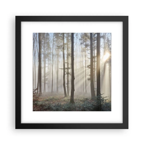 Poster in een zwarte lijst - De mist werd ook wakker - 30x30 cm