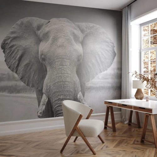 Fotobehang Premium Canvas - Welkom in mijn wereld - Olifant, Afrika, Dieren - 350x256 cm
