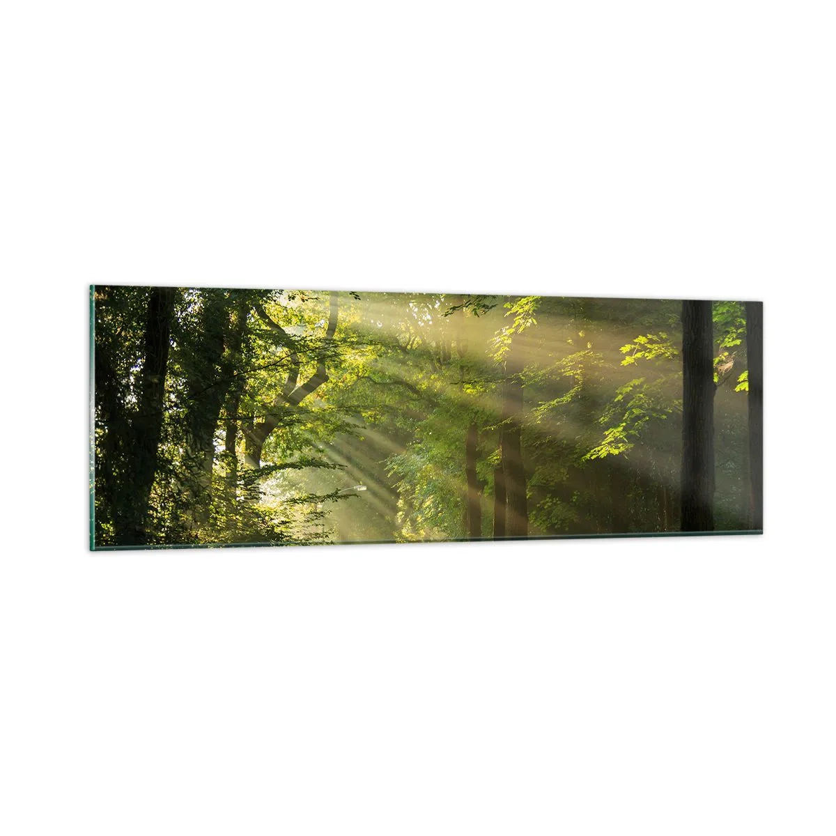 Schilderen op glas - Bosmoment - 90x30 cm