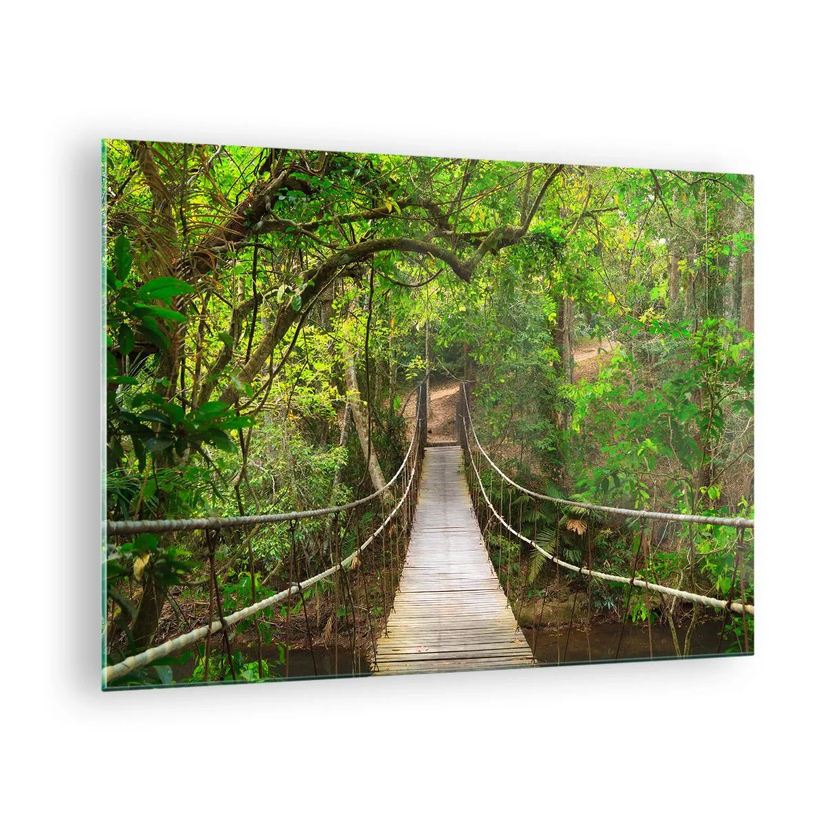 Schilderen op glas - Hangbrug in een tropisch bos - 70x50cm - Want er staat een klimplant in de tuin - Moderne wanddecoratie voor woonkamer en slaapkamer ARTTOR