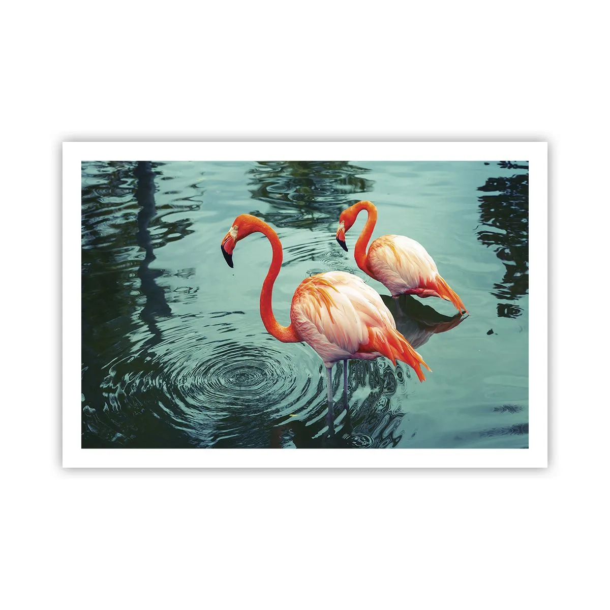 Poster - We zijn nu in de mode - 91x61 cm