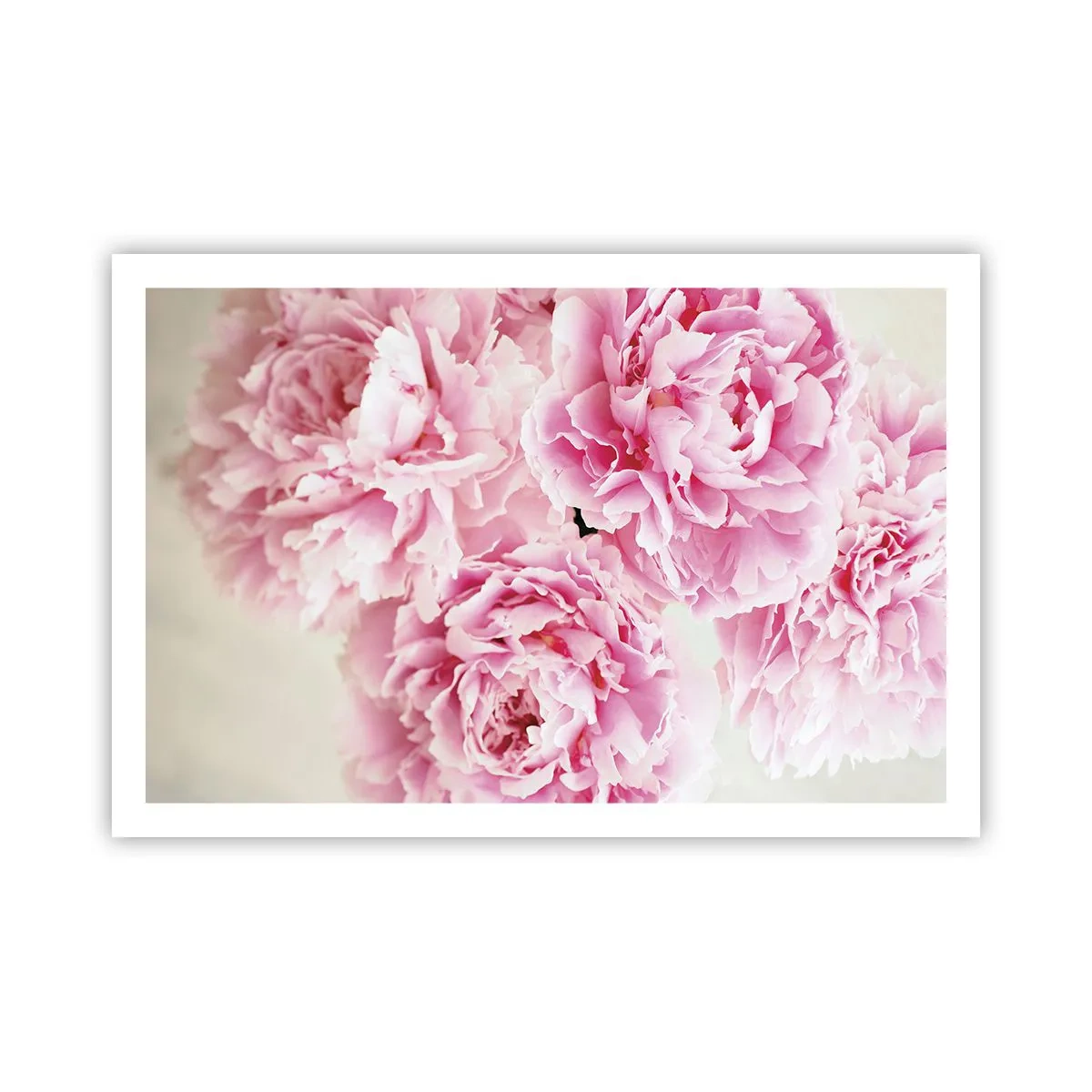 Poster - In roze glamour - 91x61 cm