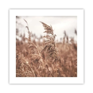 Poster - Het is al herfst in de velden - 40x40 cm