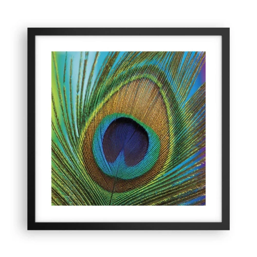 Poster in een zwarte lijst - Oog in oog - 40x40 cm
