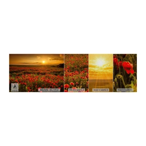 Fotobehang Monster Premium Sand - Tussen de golven van ruisende weiden, tussen de bloemen van de vloed - Landschap, Bloemen, Klaprozen - 100x30 cm