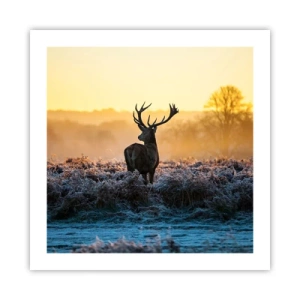 Poster - Gekroond op zijn landgoed - 50x50 cm