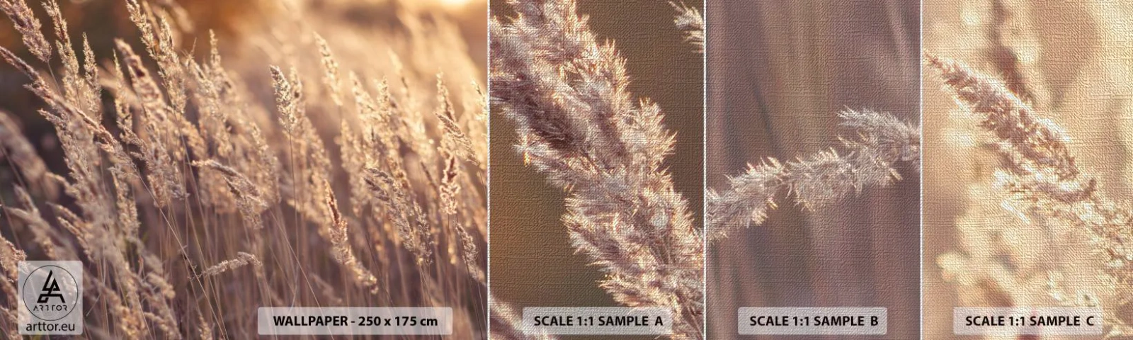 Fotobehang Monster Premium Canvas - Klaar om de herfst te verwelkomen - Landschap, Oren van graan, Wei - 100x30 cm