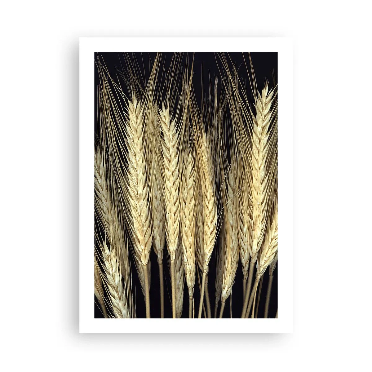 Poster - Rustieke magie - 50x70 cm