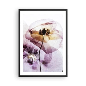 Poster in een zwarte lijst - Transparante bloemen in pasteltinten - 50x70cm - Transparante lichaamsbloemen - Moderne wanddecoratie voor woonkamer en slaapkamer ARTTOR