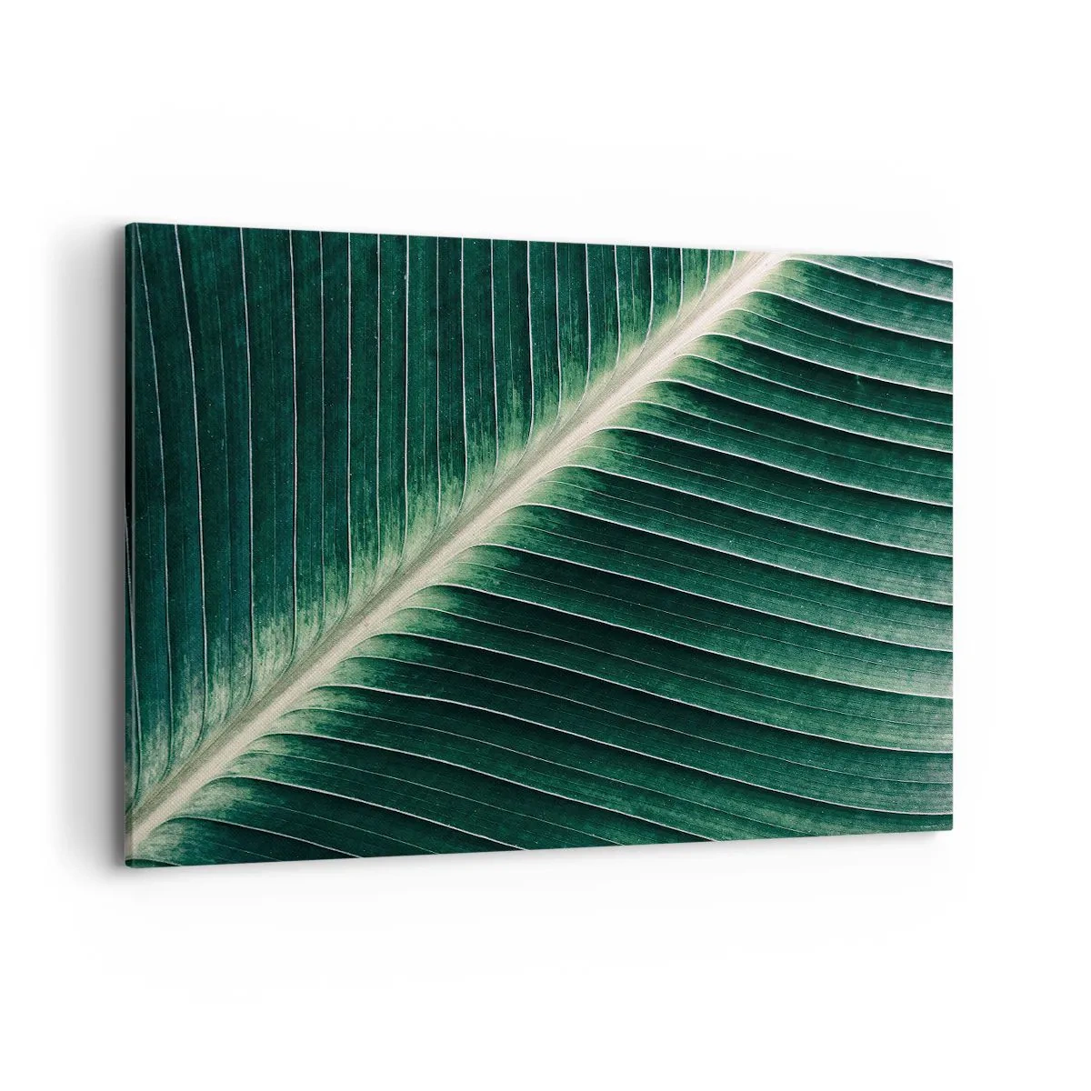 Schilderen op canvas - Het ritme van de natuur - 100x70 cm
