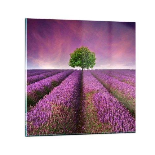 Schilderen op glas - Op lavendelvelden - 30x30 cm