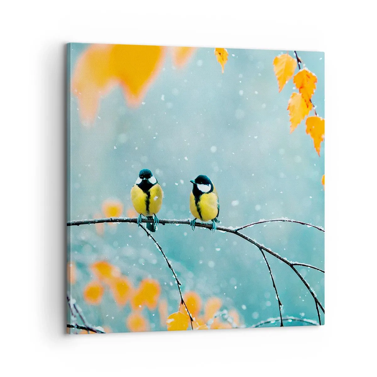 Schilderen op canvas - Vogelroddel - 60x60 cm