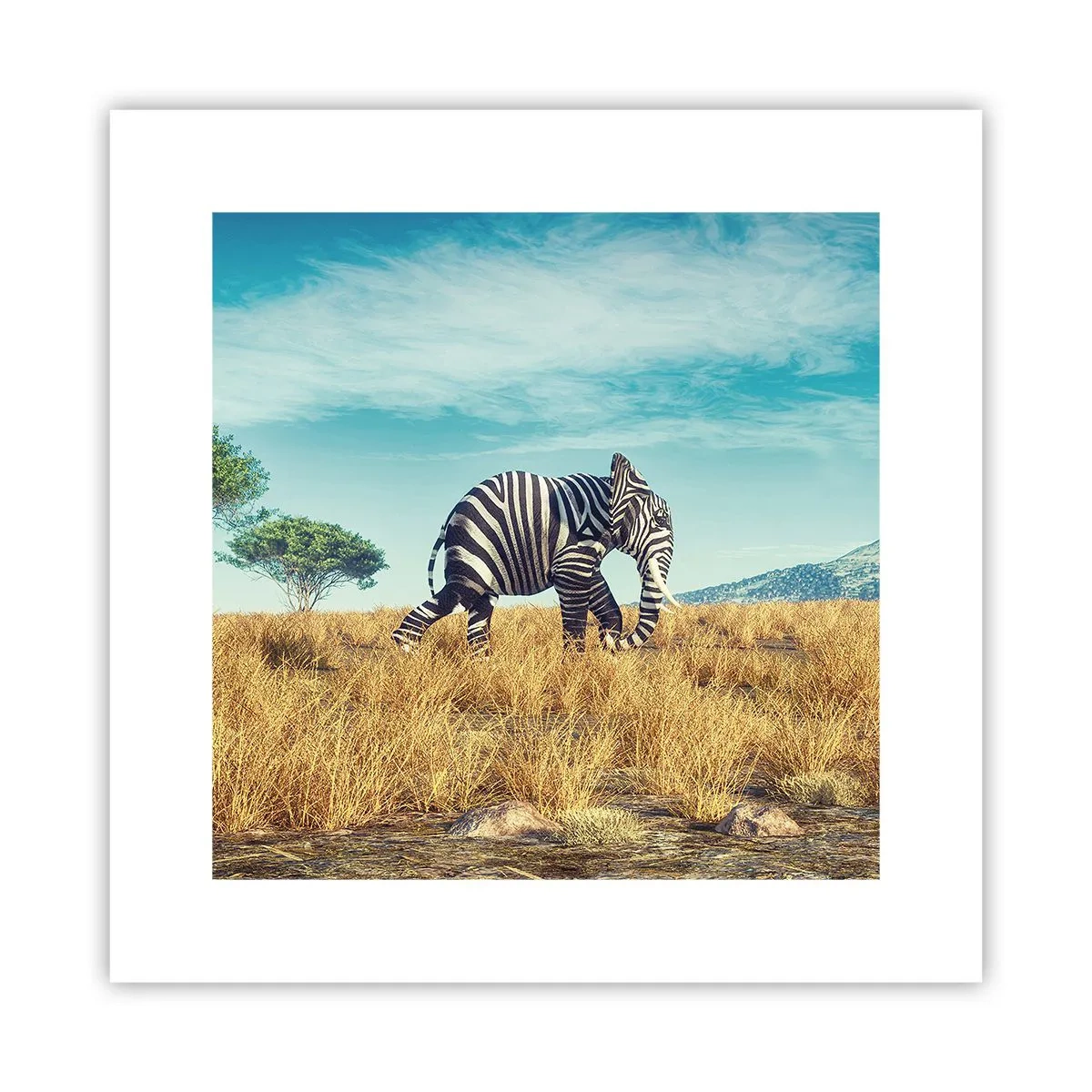 Poster - Grijs is niet meer in de mode - 30x30 cm