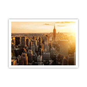 Poster - Groeien in de zon - 100x70 cm