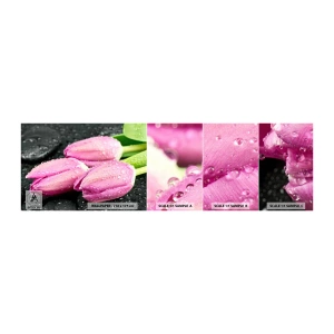 Fotobehang Monster Zelfklevend Deluxe Sticker - Lila drie op een zwarte steen - Bloemen, Tulpen, Boeket bloemen - 100x30 cm
