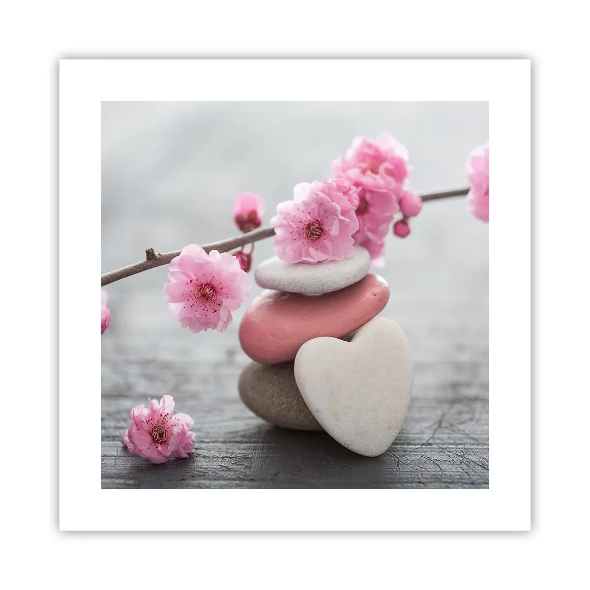 Poster - Gelukzaligheid met een kersenbloesem - 40x40 cm