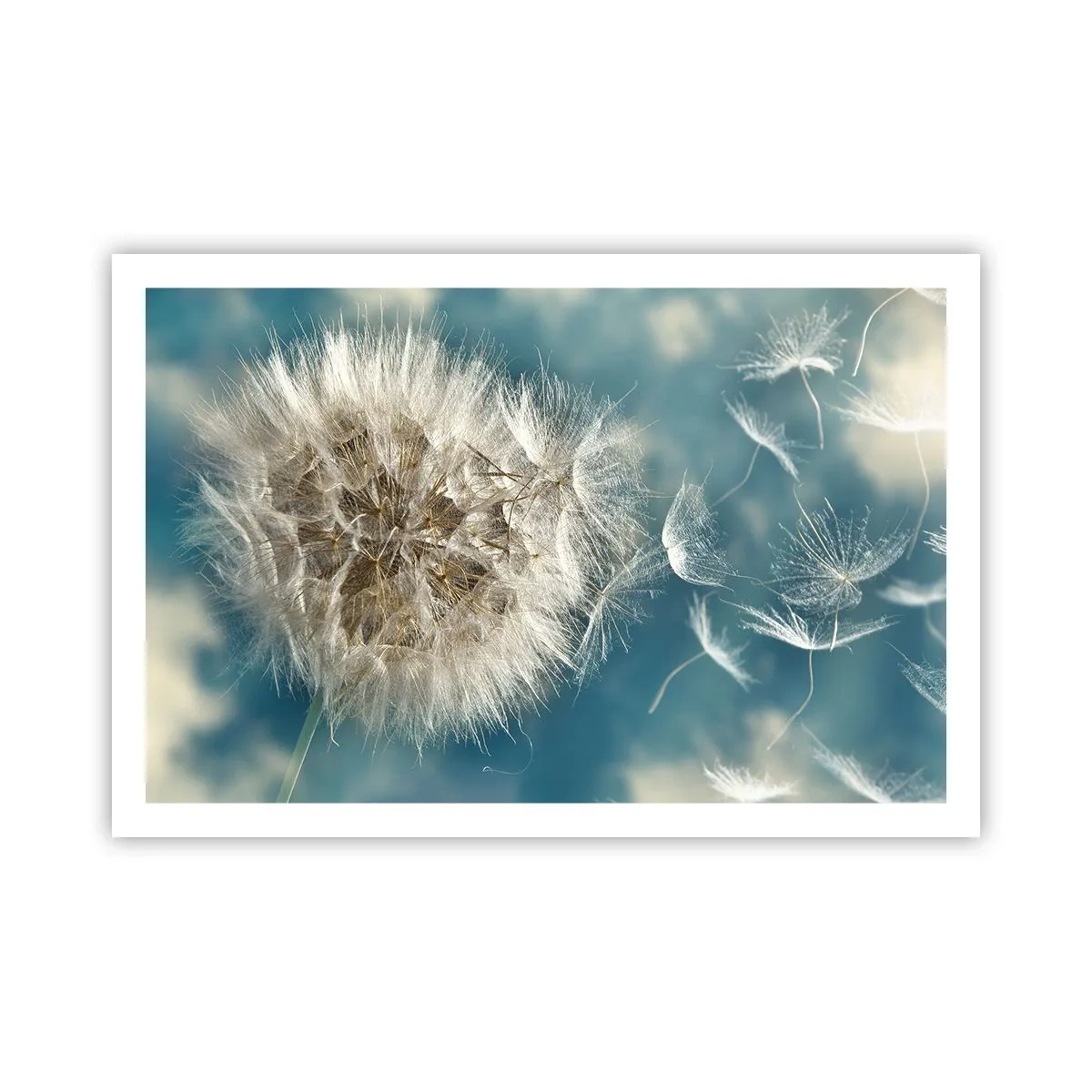 Poster - Engelen adem - 91x61 cm