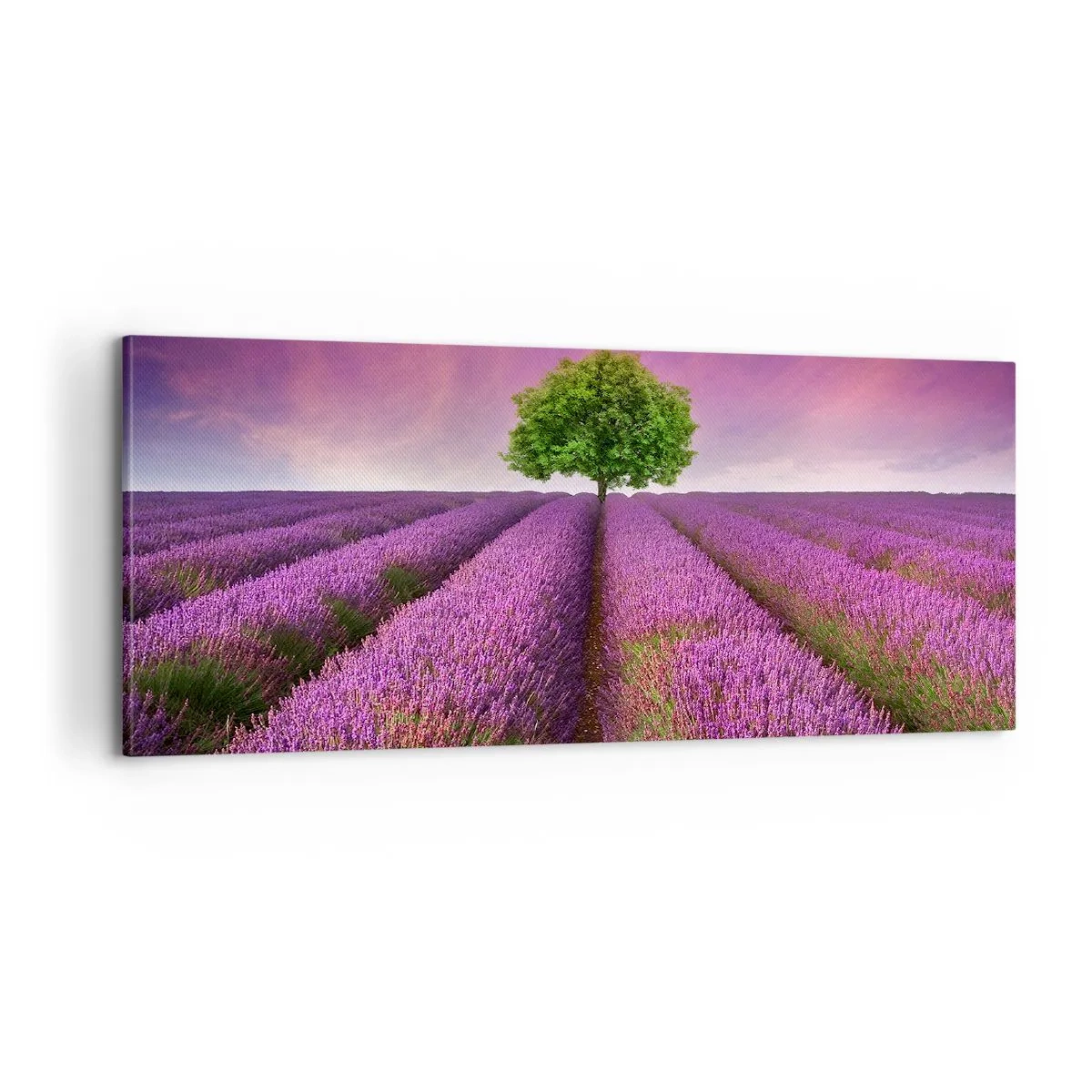 Schilderen op canvas - Op lavendelvelden - 100x40 cm