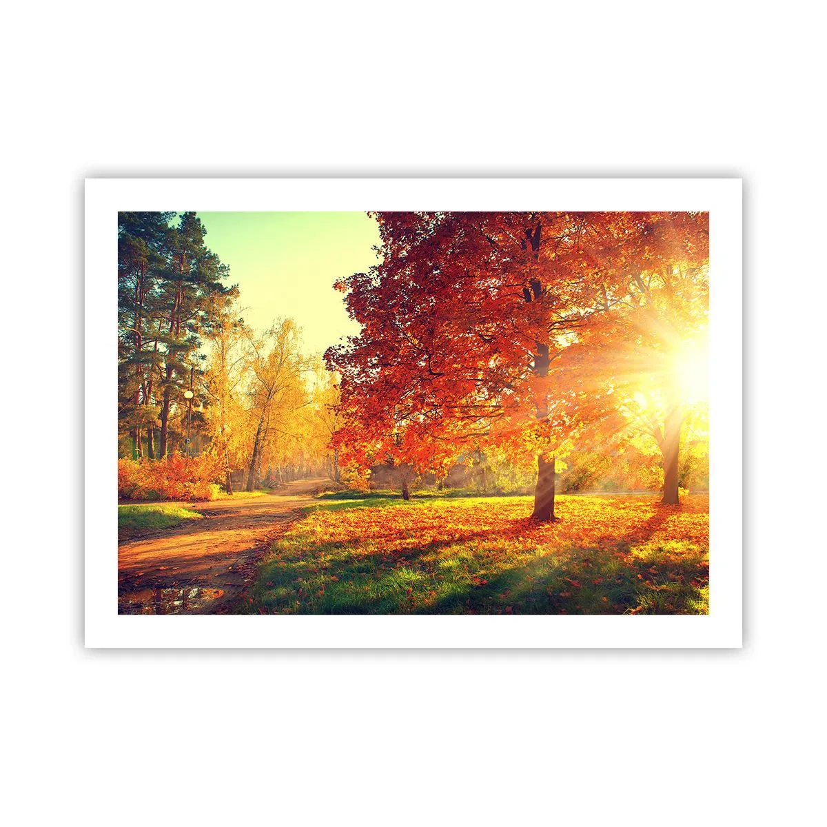 Poster - Rood is mooi - 70x50 cm