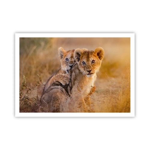 Poster - Niet storen! We hebben plezier - 100x70 cm