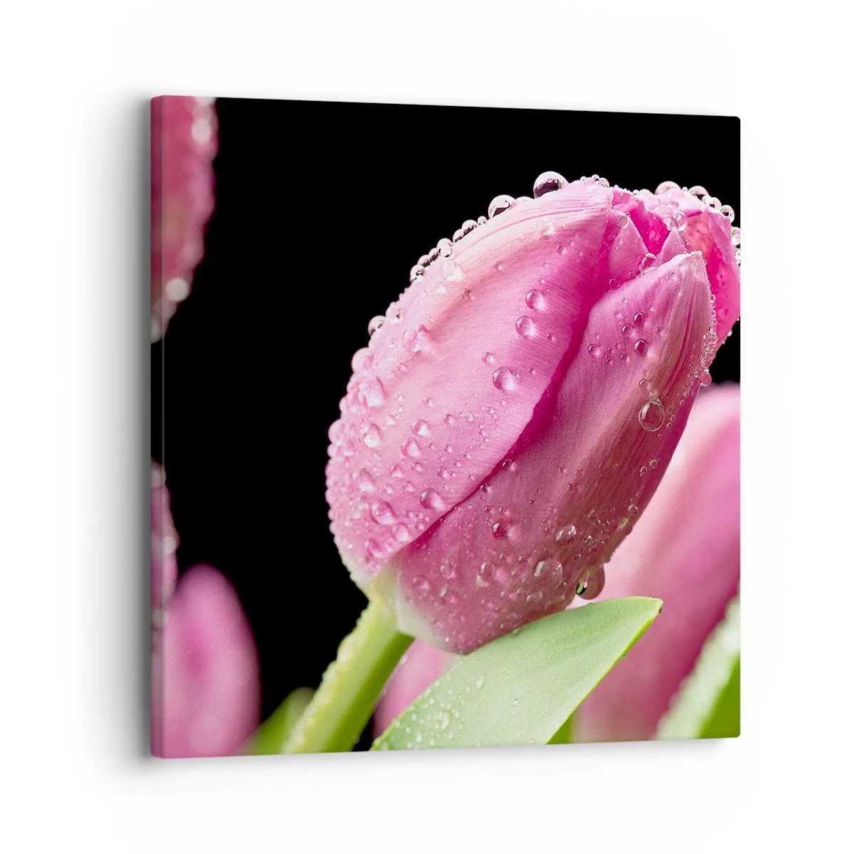 Schilderen op canvas - Lila droom in dauw - 30x30 cm