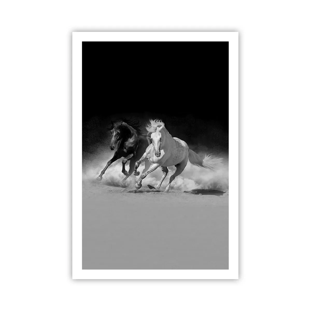 Poster - Vrijheidsgalop - 61x91 cm