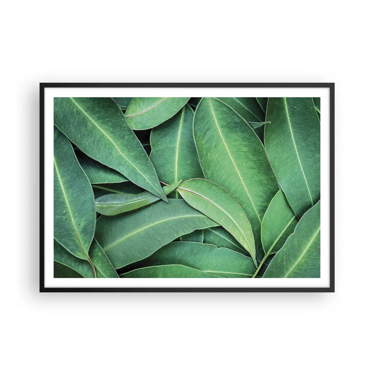Poster in een zwarte lijst - Sappig en fris - 100x70 cm