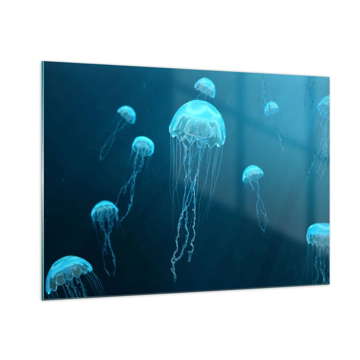 Schilderen op glas - Oceaandans - 100x70 cm