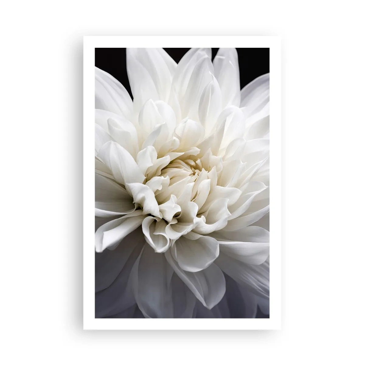 Poster - Ochtend van de bruid - 61x91 cm