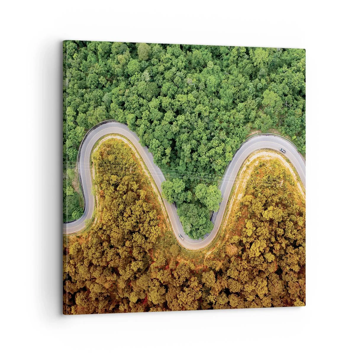 Schilderen op canvas - Grenzen en doorbraken - 60x60 cm