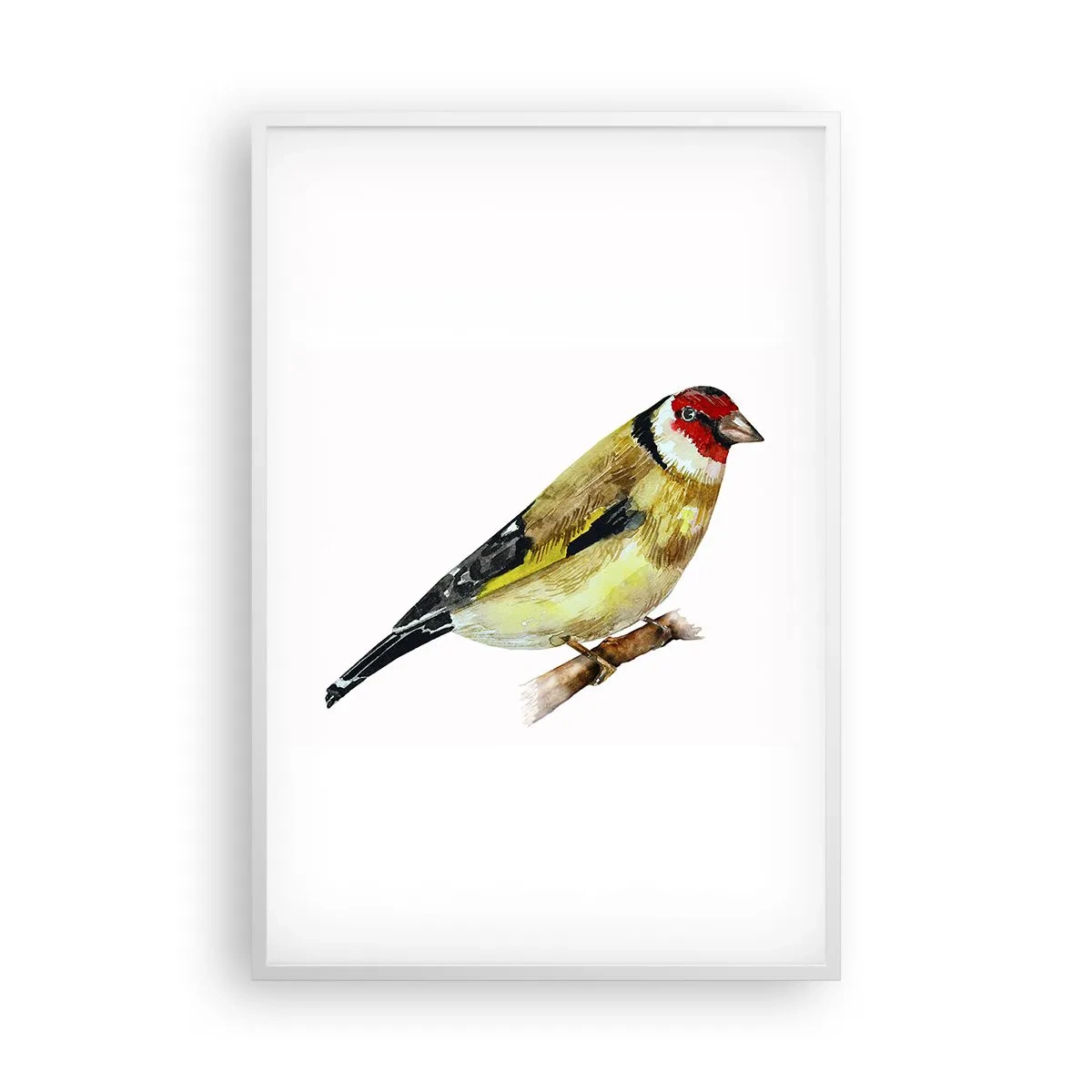 Poster in een witte lijst - Vogel portret - 61x91 cm