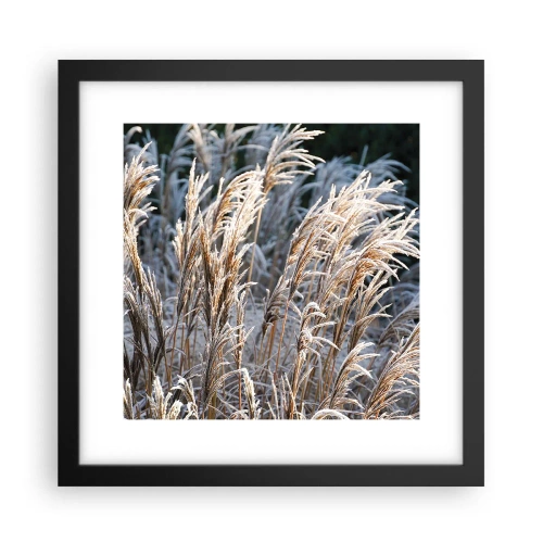 Poster in een zwarte lijst - Gekleed met vorst - 30x30 cm