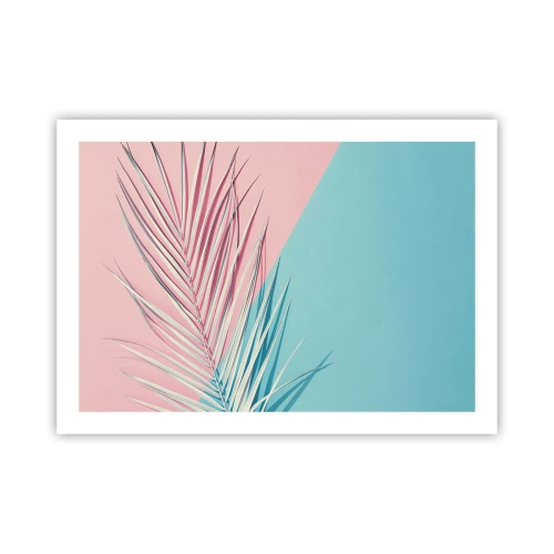 Poster - Tropische impressie - 70x50 cm
