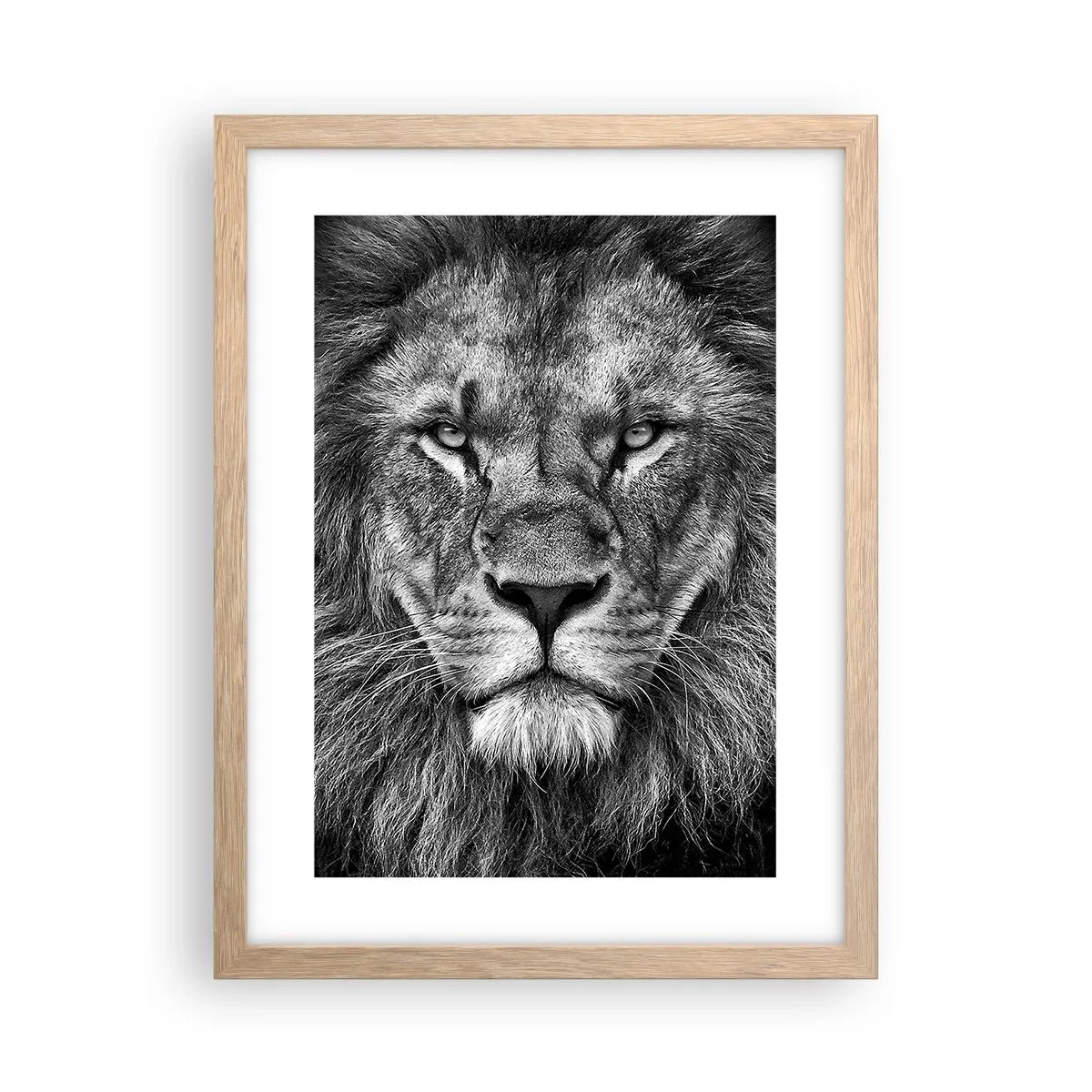 Een poster in een licht eiken lijst - In een kroningskleed - 30x40 cm