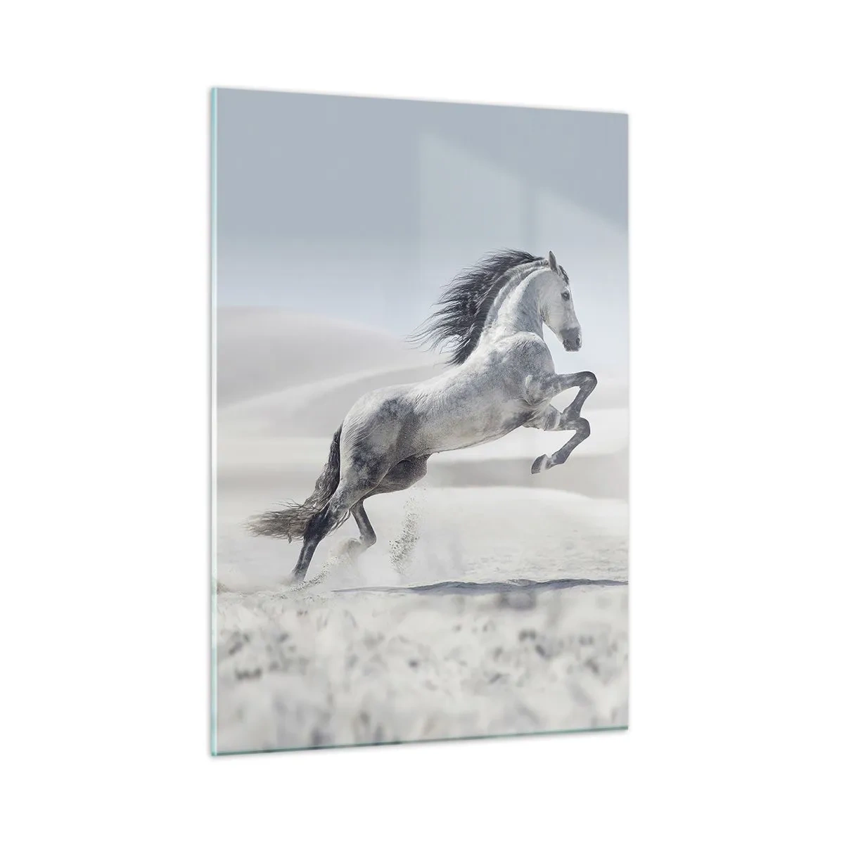 Schilderen op glas - Arabische prins - 50x70 cm
