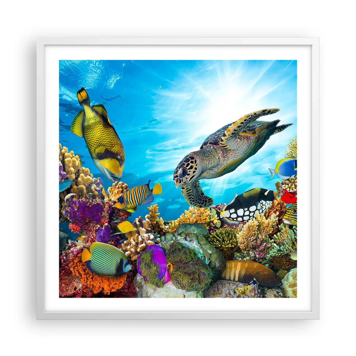 Poster in een witte lijst - Koraalpromenade - 60x60 cm