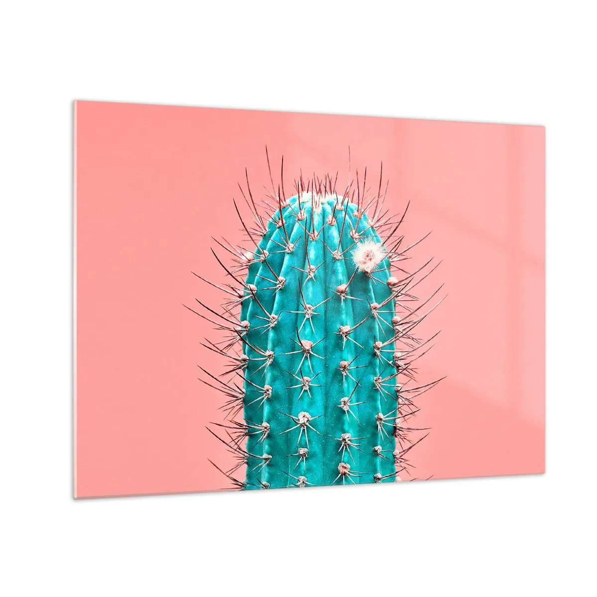 Schilderen op glas - Groene cactus met doornen op een roze achtergrond - 70x50cm - Kijk gewoon - Moderne wanddecoratie voor woonkamer en slaapkamer ARTTOR
