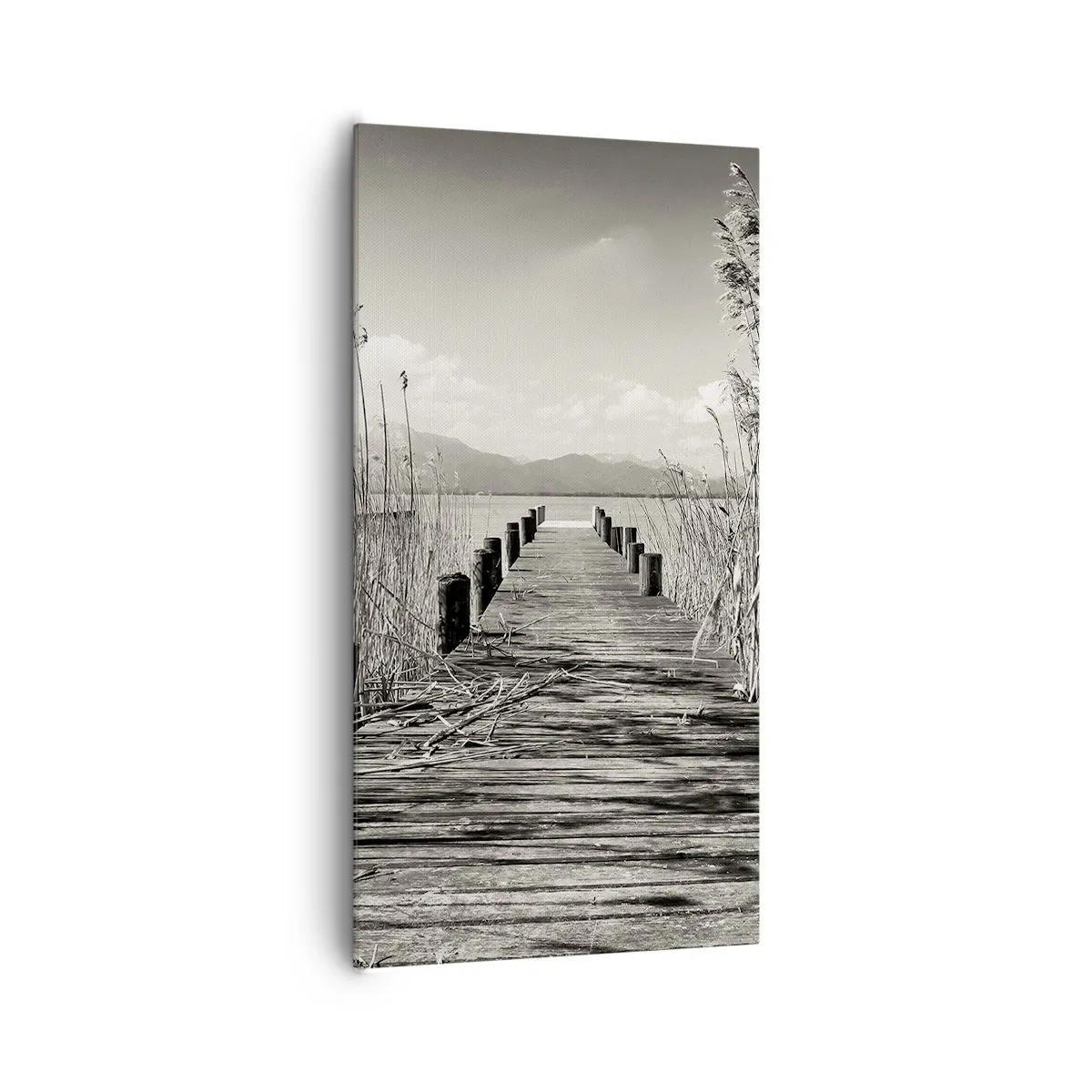 Schilderen op canvas - In de stilte van het gras - 65x120 cm